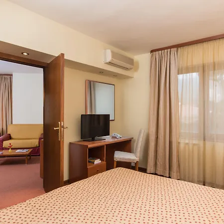 Pirin & ホテル 4*