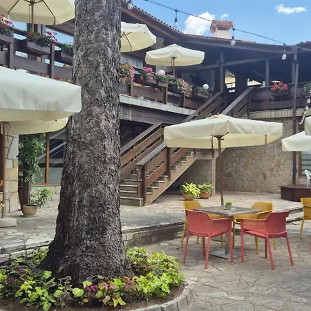 Hotel Pirin & 4*
