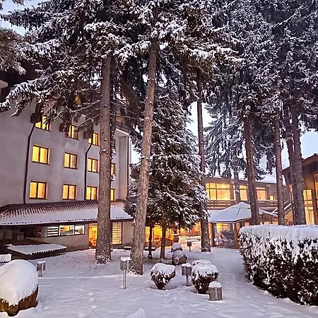 Pirin &